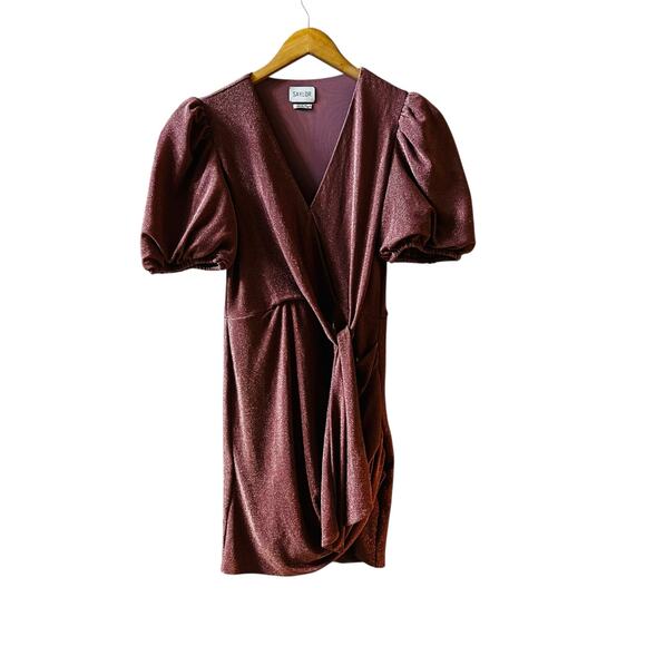 Saylor Deb Glittery Short Sleeve Side Tie Dress Size S Small - Picture 2 of 8